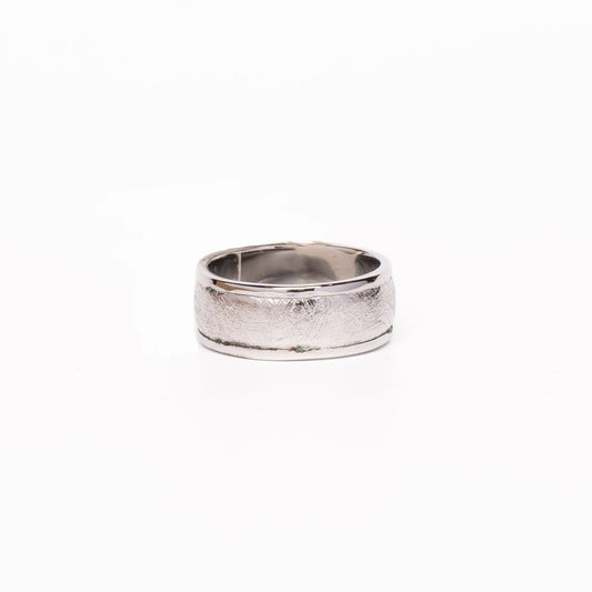 Meteorite Ring